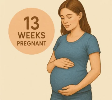 الأسبوع الثالث عشر من الحمل