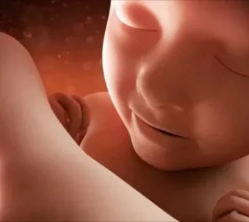 الأسبوع الخامس والثلاثون من الحمل