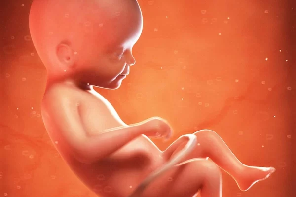 Week 22 of pregnancy