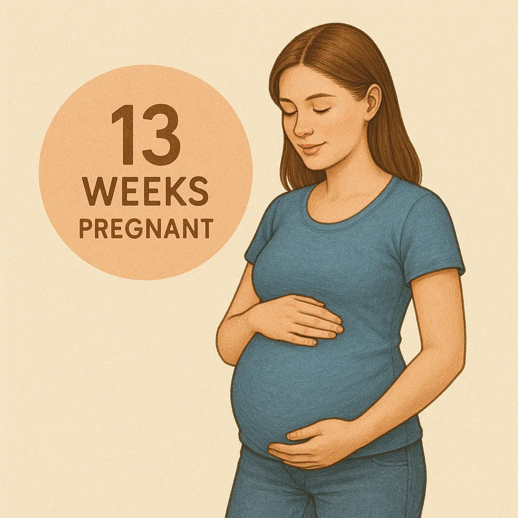 Week 13 of pregnancy