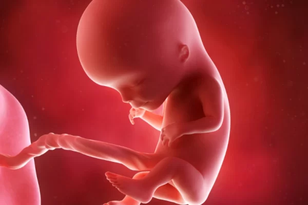 12th week of pregnancy