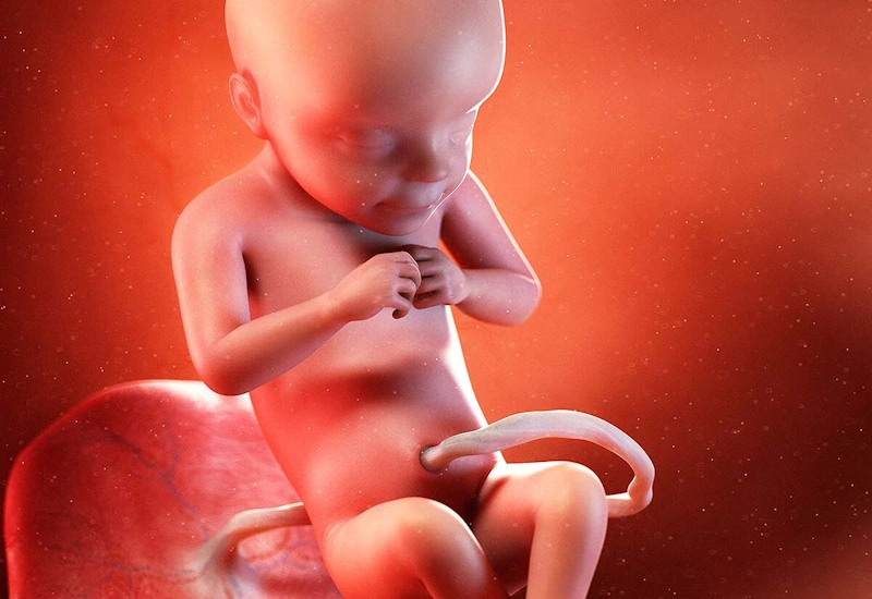 Week 28 of pregnancy