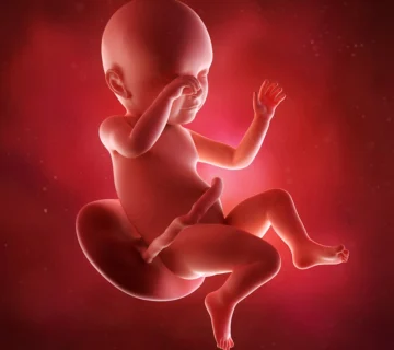 Week 39 of Pregnancy