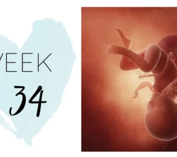 Week 34 of pregnancy