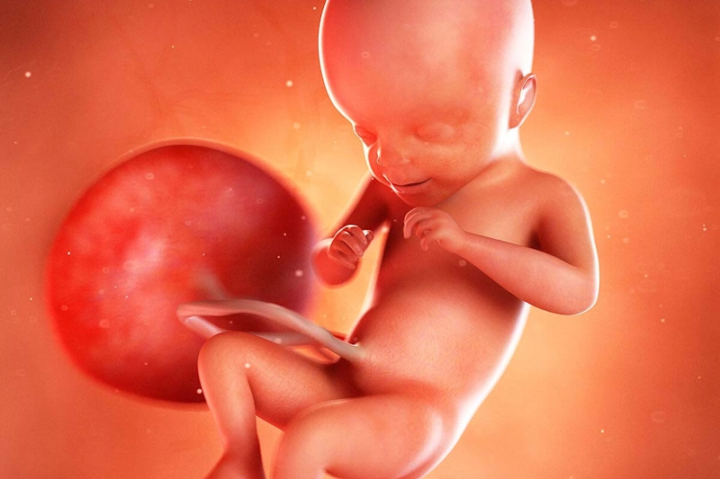 ҳафтаи 21 ҳомиладорӣ