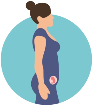 اندازه جنین در هفته یازدهم بارداری