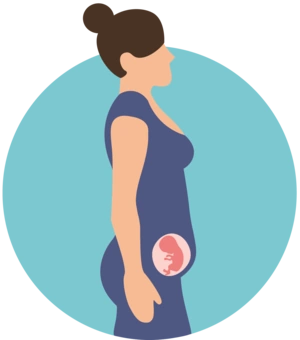 بدن شما در هفته بیستم بارداری