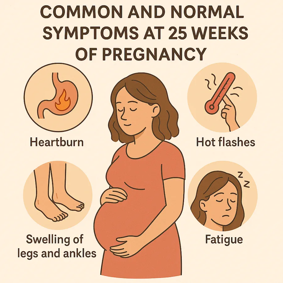 علائم طبیعی و شایع در هفته ۲۵ بارداری