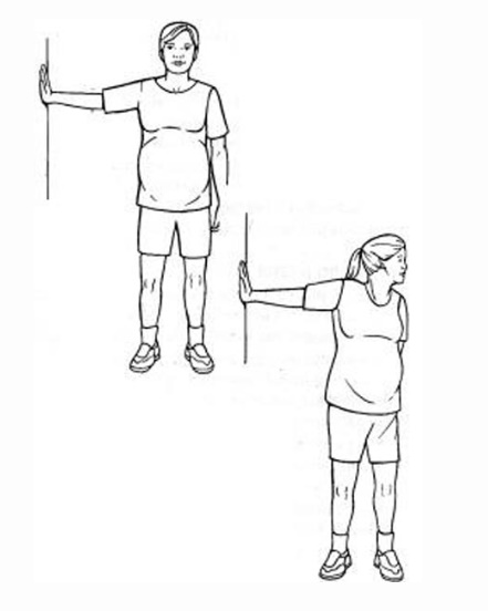 إطالة الصدر والذراع