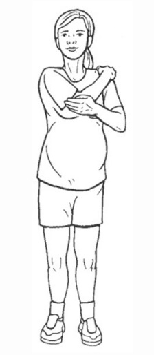 حرکت کششی شانه شماره 2