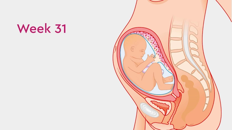 Baby’s Condition at 31 Weeks of Pregnancy