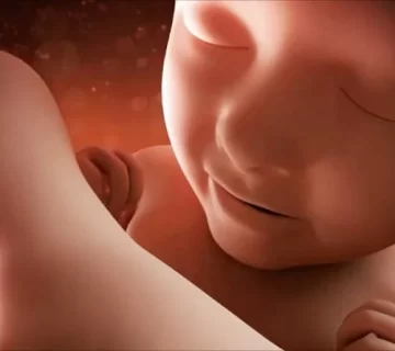 هفته سی و پنجم بارداری