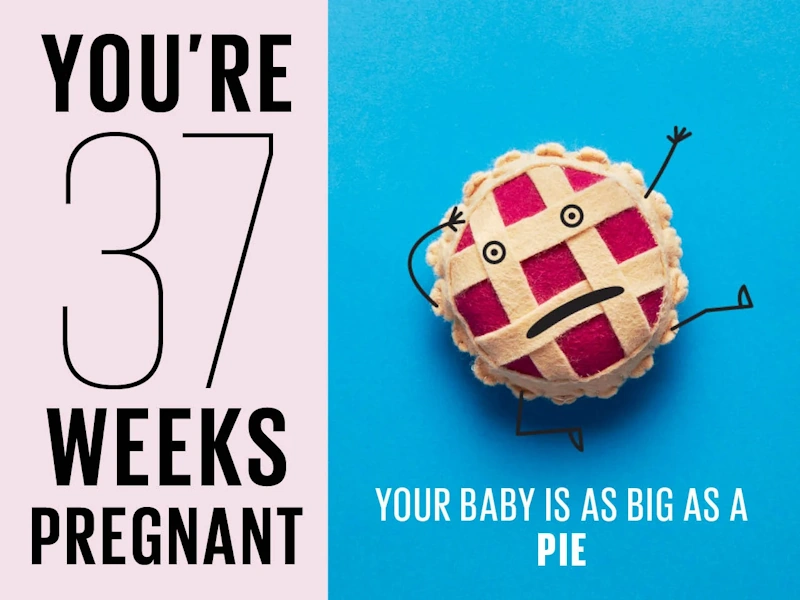 The Fetus at 37 Weeks of Pregnancy