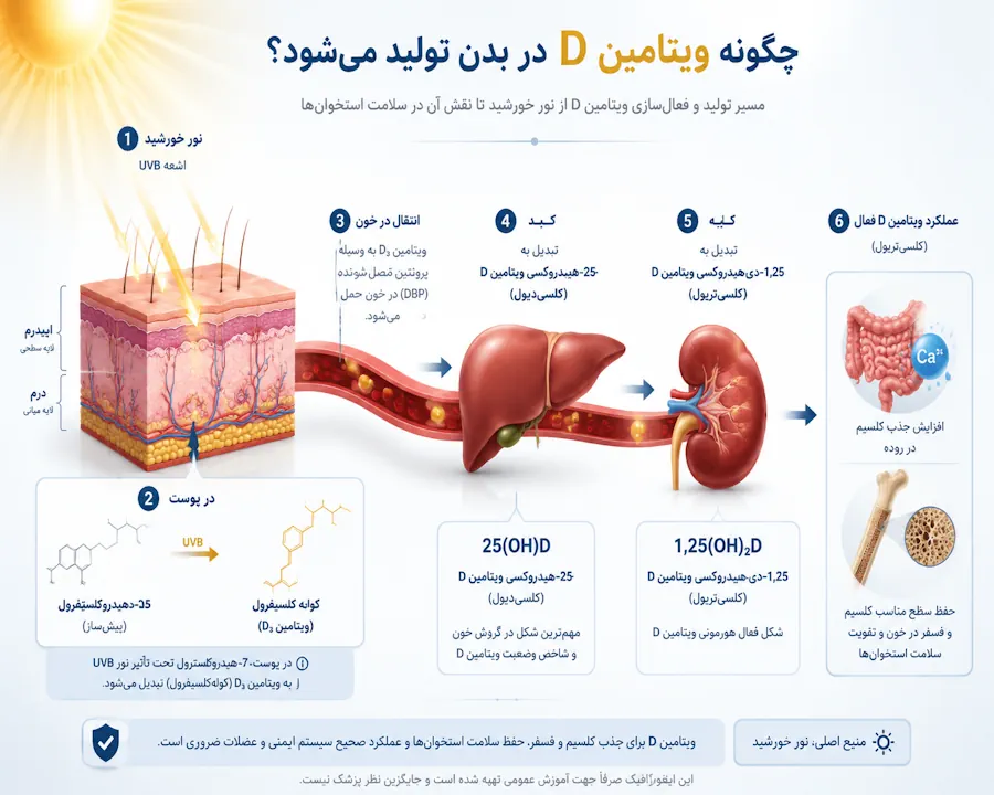 ویتامین D چگونه در بدن ساخته می‌شود؟