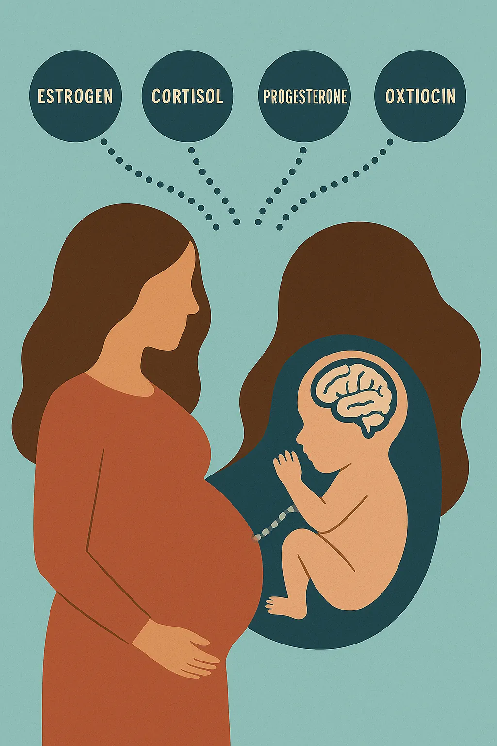 هورمونهای دوران بارداری و رشد مغزی نوزاد